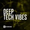 Crisopea (Vosbraz Remix) - Alex Raider lyrics