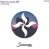 Feel in Love - Single