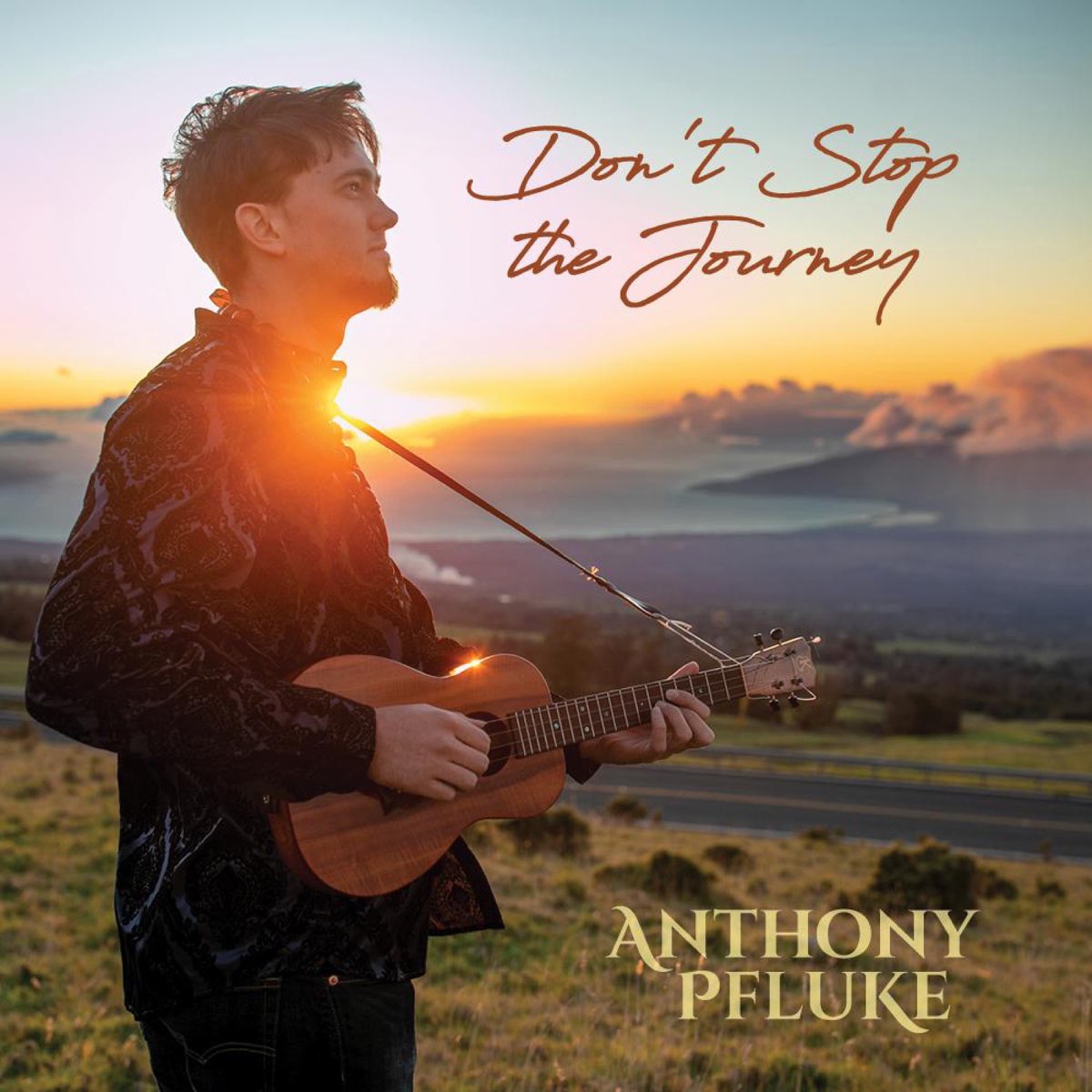‎Don't Stop the Journey (Take it Slow) Single by Anthony Pfluke on Apple Music