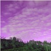 Fly - Single