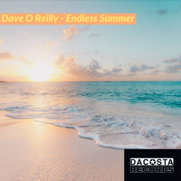 Dave O Reilly - Endless Summer artwork