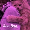 Lee Montana - Boo-Boo