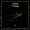 Amused - Lorhen lyrics
