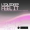 Feel It (Stimming Dub Mix) - Liquideep lyrics