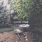 Another lo-fi beat - bluørangee lyrics