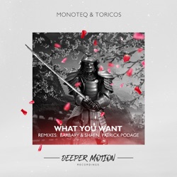 Monoteq & Andrey Kravtsov - What You Want (Barbary & Shaen Remix)