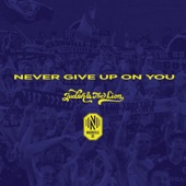 Never Give Up On You artwork