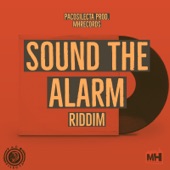 Sound the Alarm artwork