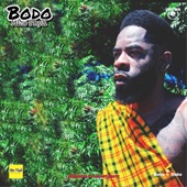 Bodo artwork