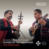 Echoes of the Mountains: The Andean Charango Meets the Persian Kamancheh