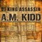 Stunna Girl - DJ King Assassin & A.M. Kidd lyrics