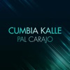 Pal Carajo - Single