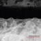 A la Bergerie - Bertrand Ravalard lyrics