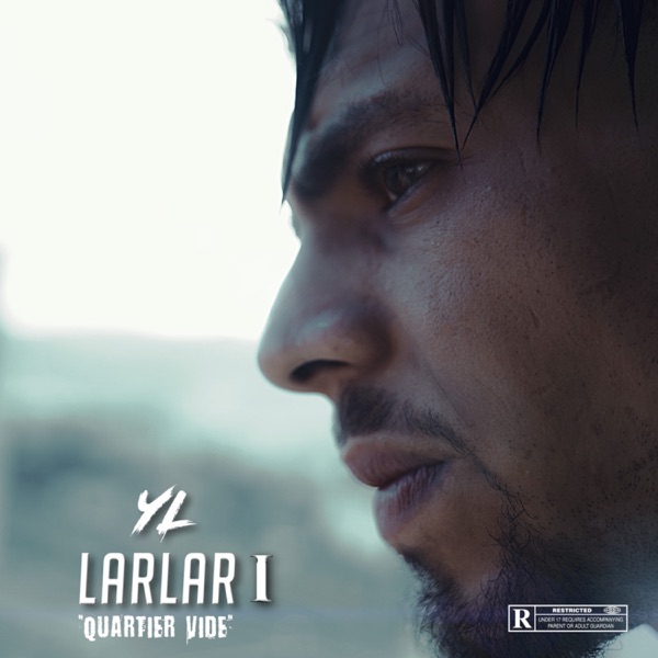 Larlar 1 (Quartier Vide) - Single - YL