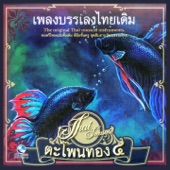 Thai Traditional Music, Vol. 4 (เพลงบรรเลงไทยเดิม ตะโพนทอง 4) artwork