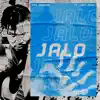 Jalo (feat. Lady Donli) - Single album lyrics, reviews, download