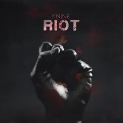 Riot - Single by Knine album reviews, ratings, credits