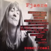 Fjaere - Day After the New Year