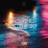 Crying to the Sky artwork