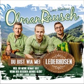 Du bist wia mei Lederhosen artwork