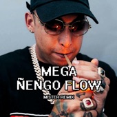 Mega Ñengo Flow artwork