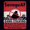 Gang-Stalking