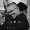 O Bir (feat. Dani) song lyrics