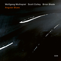 Wolfgang Muthspiel, Scott Colley & Brian Blade - Angular Blues artwork
