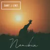 Namibia - Single album lyrics, reviews, download