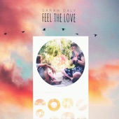 Feel the Love artwork