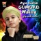 Aye Sabz Gumbad Walay - Muhammad Hassan Raza Qadri lyrics