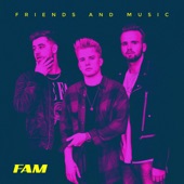 Friends and Music (feat. KAYEF, T-Zon & Topic) - EP artwork