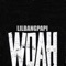 Woah FreestyLe - lilbangpapi lyrics