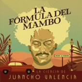 La Fórmula del Mambo artwork