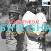 Shikisha (feat. Thabza Berry & Du Richy) - Single album lyrics, reviews, download