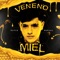 Veneno Miel - David Bernal lyrics