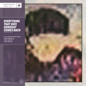 Everything That Dies Someday Comes Back artwork