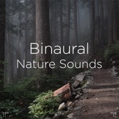 !!" Binaural Nature Sounds "!! artwork