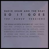 David Shaw and the Beat - Sentiment Acide (Jennifer Cardini Remix)