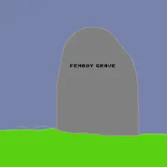 Femboy Grave (F**k Hoiters) by DJ Appleman album reviews, ratings, credits