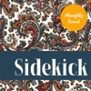 Sidekick - Single, 2019