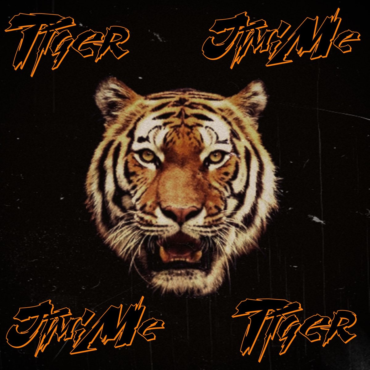 Tiger песня текст. Тигр слушает музыку. Jimme. Текст песни тигр.