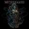 Nostrum - Meshuggah lyrics