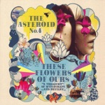 The Asteroid No.4 - My Love