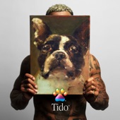 Tido artwork