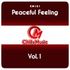 Peaceful Feeling, Vol.1