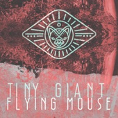 Flying Mouse - EP artwork