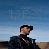 LIDN artwork