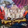 El Pájaro Cenzontle - Single