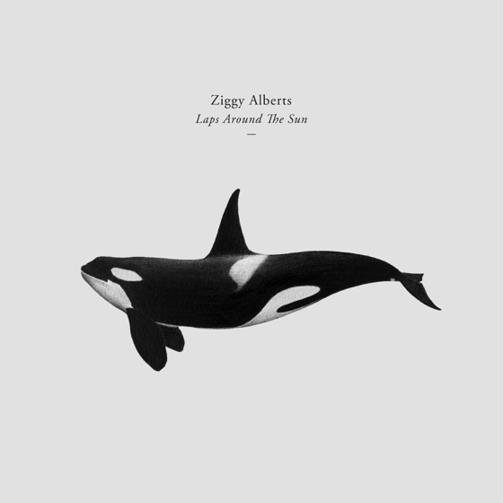 Cover artwork for Laps Around The Sun